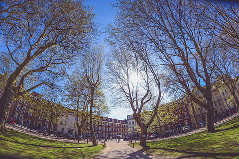trees, sky, clouds, bench, green, grass, park, school, building, structure, car, vehicle, parking, people, tree, plant, architecture, built structure, building exterior, nature, day, sunlight, footpath, no people, the way forward, direction, outdoors, land, growth, bare tree, 5K, CC0, public domain, royalty free