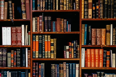 sortierter Titel, Bücher, aufgetürmt, Regale, sortiert, Buch viel, Innerhalb, hölzern, Regal, Buch, Bibliothek, Stapel, alt, Veröffentlichung, Bildung, Bücherregal, große gruppe von gegenständen, drinnen, Fülle, Vollbild, Anordnung, keine Leute, Hintergründe, Wahl, Auftrag, Literatur, Variation, in einer Reihe, Lernen, Seite an Seite, Antiquität, gebundenes Buch, Lehrbuch, 4K, CC0, gemeinfrei, lizenzfrei