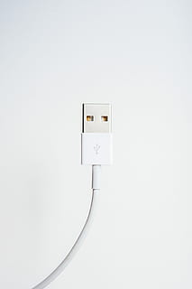 cable de sincronización blanco, cable usb blanco, USB, cable de rayos, cable, tecnología, accesorio, cargador, digital, conector, dirigir, blanco, computadora, adaptador, usb 3, manzana, mínimo, electricidad, conexión, adentro, copia espacio, Enchufe electrico, comunicación, nadie, fuente de alimentación, de cerca, generación de combustible y energía, foto de estudio, solo objeto, el color blanco, salida, pared - característica de la construcción, Fondo blanco, controlar, Internet, equipo eléctrico, 5K, CC0, dominio público, libre de derechos