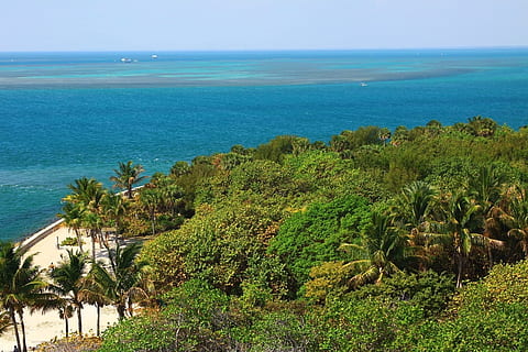 oceà, platja, platja, sorra, far, vista, oceà, platja, sorra, arbre, palmell, paisatge, naturalesa, clau, biscayne, florida, mar, horitzó sobre l’aigua, aigua, escenics, bellesa a la natura, planta, escenics - natura, tranquil·litat, escena tranquil·la, cel, horitzó, creixement, terra, dia, color verd, cap gent, blau, a l'aire lliure, color turquesa, 720P, CC0, domini públic, lliure de regalies