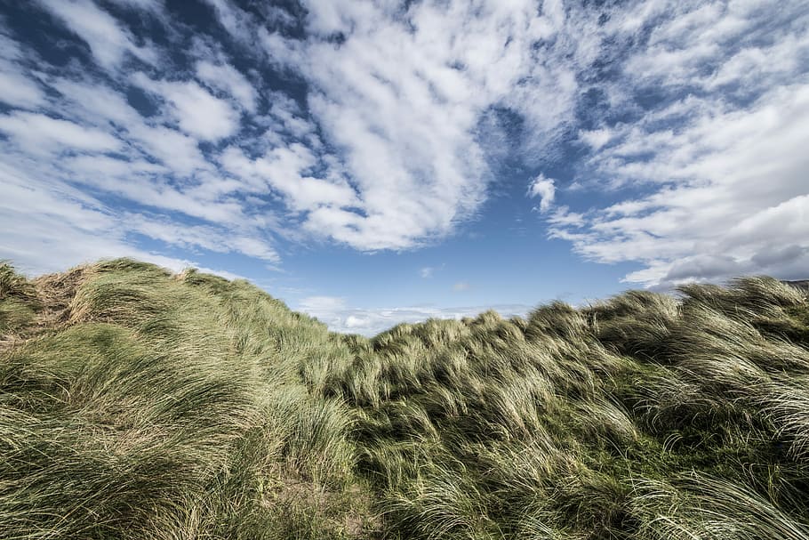 rossbeigh, irsko, fotografie, zelená, tráva, modrý, nebe, duna, pláž, vítr, mrak, bílý, Irsko, rossbeigh, letní, jaro, snít, sen, mrak - nebe, rostlina, krása v přírodě, klid, růst, klidné scény, scenics - příroda, Příroda, mimoměstské scény, nikdo, přistát, den, krajina, životní prostředí, nízký úhel pohledu, pole, venku, zelená barva, marram trávy, stezka, 5K