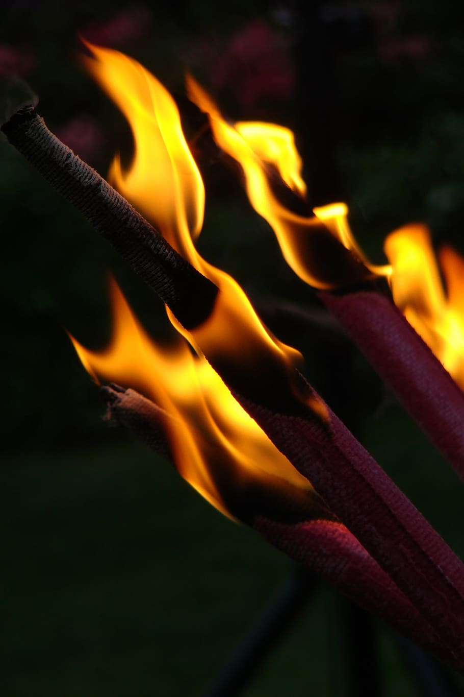 dia de la commemoració, torxa, foc, cremant, flama, foc - fenomen natural, calor - temperatura, primer pla, naturalesa, moviment, material de fusta, cap gent, brillant, llenya, registre, centrar-se en primer pla, fusta, color taronja, nit, foguera, esdeveniment, senyal d'advertència, 2K