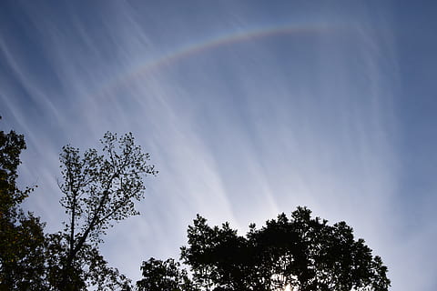 duha, luk, mračna, scéna s oblaky, skyscape, Příroda, mraky, počasí, Jasný, jemný, nebesa, nebe, strom, rostlina, nízký úhel pohledu, krása v přírodě, růst, nikdo, klid, mrak - nebe, den, klidné scény, scenics - příroda, venku, silueta, idylický, slunečního světla, koruny stromů, 5K, CC0, veřejná doména, bez autorských práv