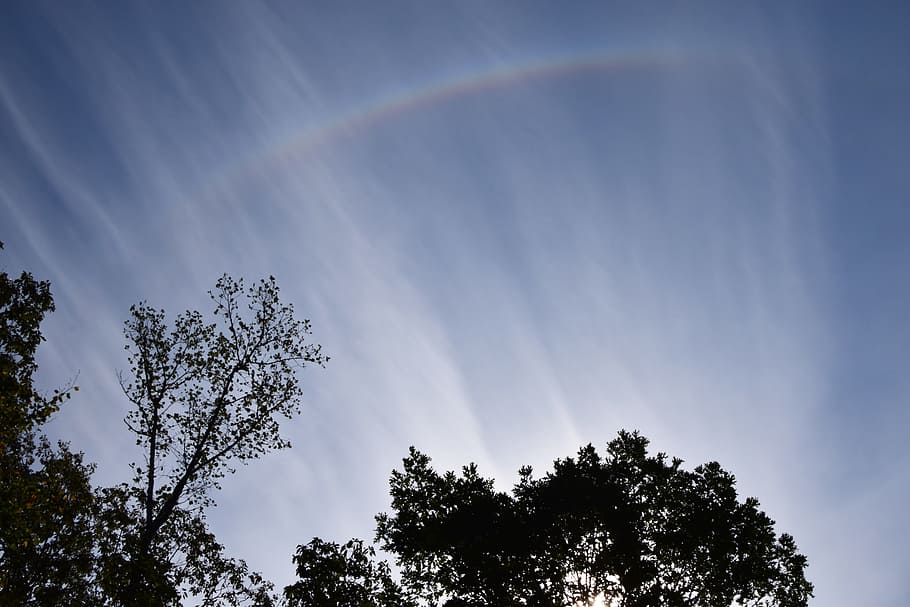 duha, luk, mračna, scéna s oblaky, skyscape, Příroda, mraky, počasí, Jasný, jemný, nebesa, nebe, strom, rostlina, nízký úhel pohledu, krása v přírodě, růst, nikdo, klid, mrak - nebe, den, klidné scény, scenics - příroda, venku, silueta, idylický, slunečního světla, koruny stromů, 5K