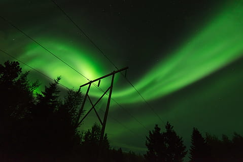 grøn, himmel, aurora, træer, transmission, grøn farve, nat, træ, scenics - natur, skønhed i naturen, stjerne - rum, belyst, plads, natur, astronomi, ingen mennesker, plante, lav vinkel visning, silhuet, aurora polaris, rolig scene, ro, teknologi, el-pylon, elektricitet, rum og astronomi, 5K, CC0, offentligt domæne, royaltyfrie