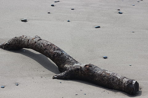 log, sand, strand, jord, dag, natur, ingen mennesker, høj vinkel visning, udendørs, vand, solid, tæt på, ro, hav, klippe, metal, rock-objekt, dyr i naturen, forældet, plante, rusten, beton, forurening, 5K, CC0, offentligt domæne, royaltyfrie
