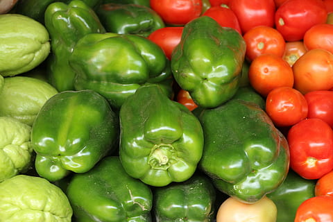 zöldségek, bors, paradicsom, chayote, recife, Pernambuco, mezőgazdaság, brazil, friss, élelmiszer, becsületes, Caruaru, növényi, étel és ital, frissesség, zöld szín, nagy objektumcsoport, teljes keret, Az egészséges táplálkozás, kaliforniai paprika, háttérrel, bőség, zöld harang paprika, piac, kiskereskedelem, nem ember, közelkép, jólét, választás, eladó, érett, fogyasztás, 5K, CC0, közkincs, jogdíjmentes