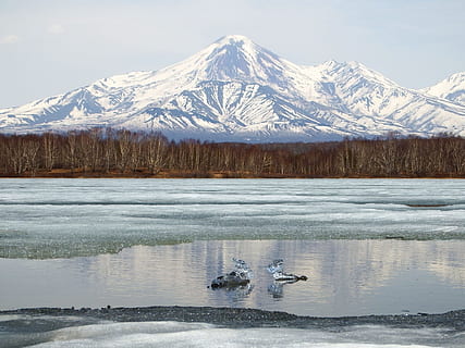 volkan, göl, yansıma, buz, bahar, karın erimesi, Su, dağlar, Sessizlik, peyzaj, orman, doğa, Kamçatka, Forest Lake, turizm, boş alan, kar, yarımada, seyahat, dağ, doğada güzellik, manzaralar - doğa, soğuk hava, Karla kaplı dağ, kış, dağ silsilesi, taşımacılık, gün, sakin sahne, çevre, huzur, insansız, açık havada, 1080P, CC0, kamu malı, telif ücretsiz
