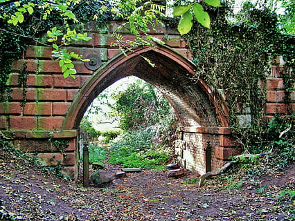 Brun, mursten, omgivet, grøn, planter, bue, gotisk, arkitektur, bygning, kirke, middelalderlig, gammel, sten-, katedral, Europa, historie, væg, stil, arkitektoniske, milepæl, kolonne, ydre, klassisk, historisk, europæisk, religion, indgang, antik, Kristendom, kristen, rejse, dør, turisme, buer, facade, Port, årgang, vindue, design, plante, bygget struktur, dag, ingen mennesker, forladt, træ, natur, vækst, beskadiget, kørt ned, jord, forældet, grøn farve, udendørs, fortiden, forringelse, ødelagt, 4K, CC0, offentligt domæne, royaltyfrie