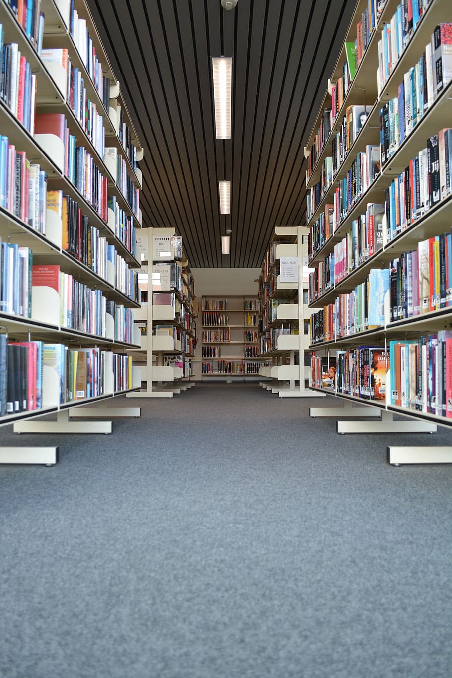 llibres, biblioteca, llegir, marcadors, prestatge per a llibres, simetria, llibre, prestatge, educació, aprenentatge, publicació, gran grup d'objectes, a l'interior, abundància, escola, literatura, universitat, gent, elecció, estudiar, recerca, arquitectura, edifici, variació, ordre, intel·ligència, 5K