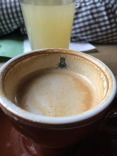 coffee, fly, drink, caffeine, food and drink, refreshment, coffee - drink, cup, still life, coffee cup, freshness, mug, close-up, table, indoors, frothy drink, hot drink, cappuccino, focus on foreground, food, no people, latte, glass, froth, crockery, non-alcoholic beverage, 2K, CC0, public domain, royalty free