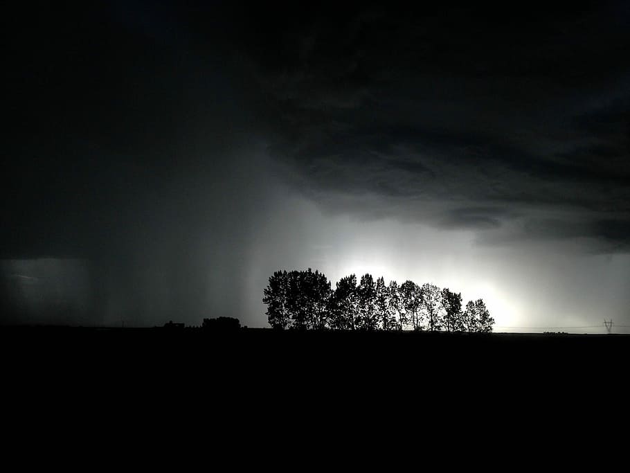 photo de silhouette, des arbres, silhouette d'arbres, nuit, foncé, ciel, nuage, pluie, arbre, forêt, silhouette, paysage, orage, Canada, plaine, Alberta, ferme, plante, beauté dans la nature, environnement, personne, nuage - ciel, paysages - nature, la nature, tranquillité, en plein air, terre, humeur atmosphérique, de mauvais augure, 2K