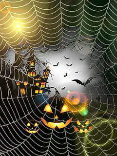 Helloween, Kürbis, Mond, Fledermäuse, Hexenhaus, Spinnennetz, Fröhliches Halloween, Kürbisse, Zerbrechlichkeit, Nahansicht, keine Leute, Spinne, Tierthemen, wirbellos, Verletzlichkeit, Tier, Insekt, natürliches Muster, Spinnentier, Muster, Natur, Tiere in freier Wildbahn, Gliederfüßer, ein Tier, Schönheit in der Natur, Tierwelt, Vollbild, draußen, Komplexität, Netz, 2K, CC0, gemeinfrei, lizenzfrei