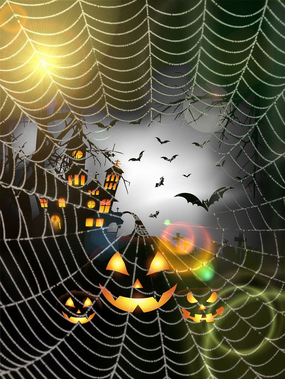 Helloween, græskar, måne, flagermus, heksens hus, spindelvæv, glædelig Halloween, edderkoppespind, skrøbelighed, tæt på, ingen mennesker, edderkop, dyre temaer, hvirvelløse, sårbarhed, dyr, insekt, naturligt mønster, arachnid, mønster, natur, dyr i naturen, leddyr, et dyr, skønhed i naturen, dyreliv, fuld ramme, udendørs, kompleksitet, web, 2K
