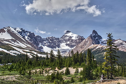 innevato, nuvoloso, cielo, autostrada, montagna, alberi, foresta, boschi, viaggio, paesaggio, estate, auto, asciutto, lungo, brina, congelato, colline, voglia di girovagare, natura, stagione, all'aperto, Paese delle meraviglie, avventura, scenario, Stupefacente, meraviglioso, posto, idilliaco, mattina, pace, terra, alpino, ambiente, blu, destinazione, scoprire, pittoresco, mozzafiato, picco, vertice, scalata, vacanza, Banff, diaspro, naturale, avanti Cristo, Britannico, columbia, Alberta, dom, Esplorare, panoramico, escursioni a piedi, sfida, turismo, escursione, valle, attività, attivo, tempo libero, sedersi, stile di vita, godere, tranquillo, clima, riscaldamento globale, conservazione, eco, ecologia, ambientale, distruzione, la deforestazione, globale, riscaldamento, selvaggio, acqua, flusso, autunno, laguna, drammatico, natura selvaggia, fiume, verde, ruscello, rocce, roccioso, nuvole, la neve, luce del sole, primavera, geologia, soleggiato, orizzonte, parco, catena montuosa, nuvola - cielo, Paesaggi, giorno, scenics - natura, bellezza nella natura, albero, pianta, scena tranquilla, inverno, temperatura fredda, la tranquillità, scena non urbana, montagna innevata, nessuno, albero di conifere, Pino, bosco di pini, formazione, picco di montagna, 4K, CC0, dominio pubblico, privo di copyright
