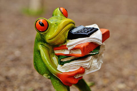 vicino, foto, verde, rana, portando, libri, calcolatrice, ceramica, figurina, avvicinamento, rana verde, figura, File, pila, file impilati, ufficio, decorazione, animale, divertente, carina, divertimento, dolce, lavoro d'ufficio, lavoro, stress, nessuno, giorno, all'aperto, concentrarsi sulle conoscenze acquisite, giocattolo, direttamente sopra, rosso, rappresentazione, rappresentazione animale, natura, temi animali, anfibio, vista dall'alto, colore verde, campo, multicolore, vertebrato, umorismo, 5K, CC0, dominio pubblico, privo di copyright