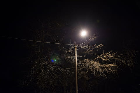 luz de poste, árvore, Castanho, folha, período noturno, postar, linhas de energia, leve, Sombrio, noite, tarde, lua, iluminado, ninguém, ao ar livre, luar, céu, natureza, astronomia, equipamento de iluminação, lua cheia, brilhando, visão de baixo ângulo, luz - fenômeno natural, fundo preto, eletricidade, copie o espaço, beleza na natureza, plantar, 5K, CC0, domínio público, royalty free
