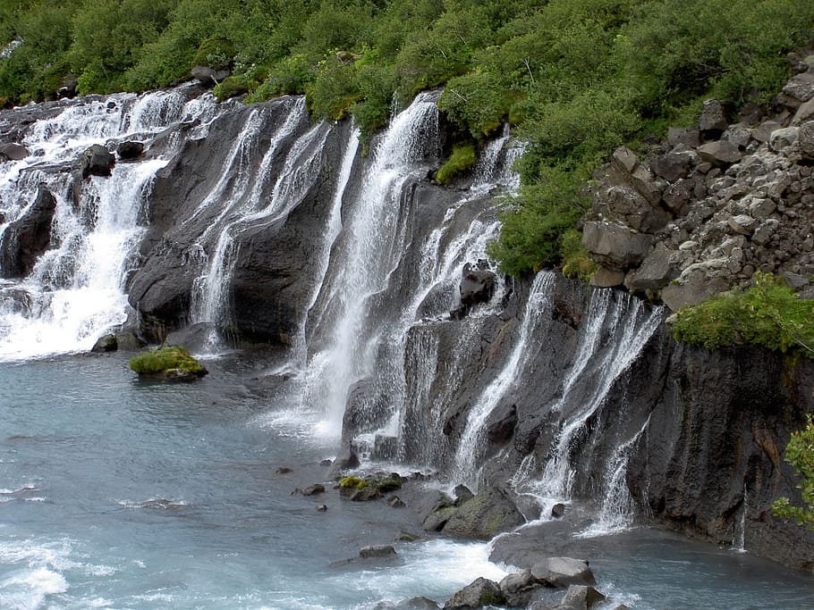 Islanda, cascata, fonte, acqua, bellezza nella natura, scenics - natura, acqua corrente, movimento, roccia, lunga esposizione, albero, pianta, movimento sfocato, solido, roccia - oggetto, terra, natura, formazione rocciosa, scena non urbana, foresta, giorno, nessuno, potere in natura, all'aperto, fluente, acqua che cade, 2K