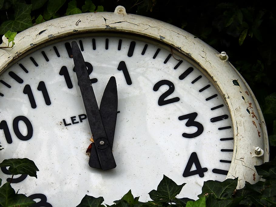 orologio, tempo, tempo che indica, tempo di, analogico, vecchio, nostalgia, antico, edera, le foglie, verde, passato, tracce, quadrante, numero, vecchio stile, avvicinamento, nessuno, foglia, Colore bianco, giorno, concentrarsi sulle conoscenze acquisite, parte vegetale, forma, natura, comunicazione, pianta, all'aperto, forma geometrica, mano minuta, strumento del tempo, modello, 4K