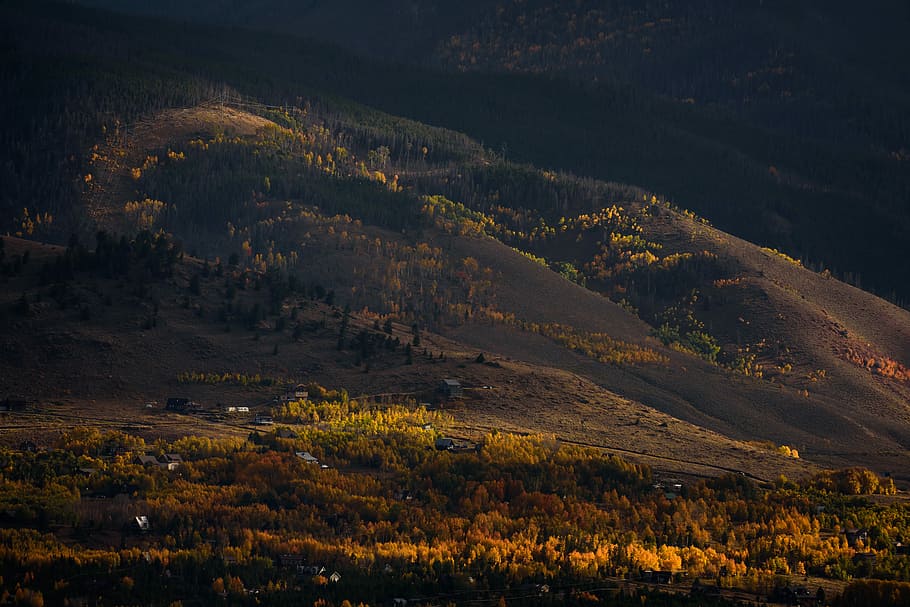 antenne, Foto, huse, bakke, omgivet, træer, dagtimerne, luftfoto, bjerg, træ, Skov, lyng, skrænt, landskab, bjergside, lys, miljø, scenics - natur, skønhed i naturen, plante, ro, natur, ingen mennesker, jord, rolig scene, udendørs, ikke-urbane scene, efterår, dag, vækst, høj vinkel visning, fjern, halvtørre, 5K