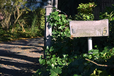 brown, mailbox, beside, gate, post box, post, mail, box, letter, delivery, postbox, letterbox, postal, envelope, collection, five, 5, unread, communication, paper, plant, growth, green color, nature, day, leaf, plant part, no people, outdoors, sunlight, wood - material, shadow, number, focus on foreground, metal, close-up, sign, old, 4K, CC0, public domain, royalty free
