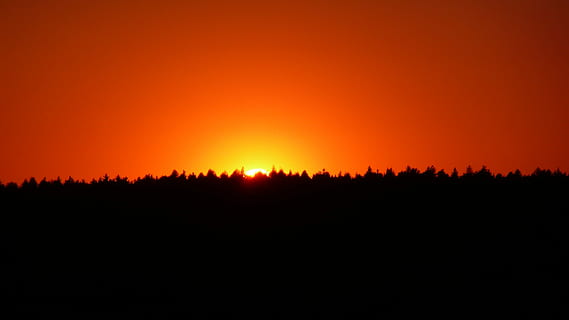 apus de soare, copaci, fundal, natură, seară, roșu, ușoară, efect, siluetă, culoare portocalie, scenics, peisaj, cer, scenice - natura, frumusețe în natură, mediu inconjurator, nici o persoana, liniște, teren, o scenă liniștită, copac, în aer liber, scenă non-urbană, spațiu copie, soare, culoare neagră, orizont, 2K, CC0, domeniu public, fără drepturi de autor