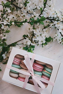 gražus, dėžė, duona, šventė, spalva, apdaila, desertas, flora, gėlės, maisto, dovanos, sveikas, macaroons, žiedlapių, pyragas, juosta, sezoną, pavasaris, natiurmortas, saldumynai, lentelė, baltos gėlės, augalų, gėlė, žydintys augalai, grožis gamtoje, nėra žmonių, patalpose, šviežumas, aukšto kampo vaizdas, pobūdį, Iš arti, rausvos spalvos, paskelbimas, trapumas, žiedlapis, knyga, pažeidžiamumas, kėdė, sėdynės, gėlių galva, gėlių kompozicija, gėlių puokštė, 5K, CC0, Viešasis domenas, nemokamai