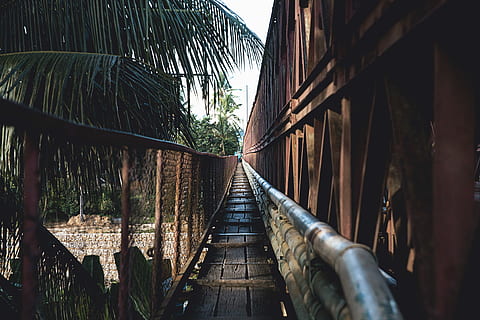 brown, wooden, pathway, green, tree, empty, bridge, trees, palm tree, pipe, path, tropical, cable, palm, fence, walkway, rail, railway, perspective, southeast asium, architecture, built structure, the way forward, direction, diminishing perspective, no people, nature, day, wood - material, outdoors, connection, vanishing point, building, plant, building exterior, railing, footbridge, transportation, surface level, long, 5K, CC0, public domain, royalty free