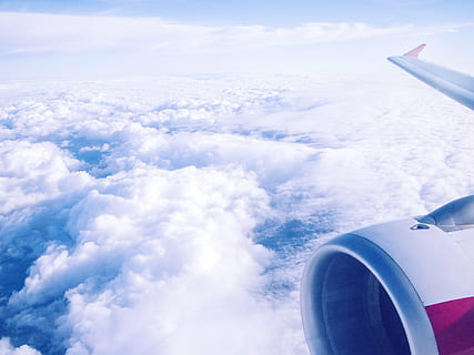 mare di nuvole, aereo, vista, cielo, nuvole, blu, bianca, luce, sopra le nuvole, volo, volante, turista, turismo, soleggiato, vacanza, austriaco, linea aerea, mezzi di trasporto, nuvola - cielo, modalità di trasporto, vista aerea, viaggio, veicolo aereo, ala di aereo, modo di trasporto, scenics - natura, bellezza nella natura, Cloudscape, nessuno, movimento, giorno, natura, in movimento, mezz'aria, motore, motore a reazione, all'aperto, sopra, 4K, CC0, dominio pubblico, privo di copyright