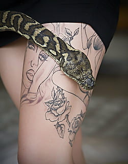 tattoo, snake, python, pet snake, pythoninae, animal, one person, human body part, lifestyles, indoors, reptile, pattern, adult, one animal, women, real people, close-up, young adult, fashion, body part, young women, midsection, hand, human limb, floral pattern, 2K, CC0, public domain, royalty free