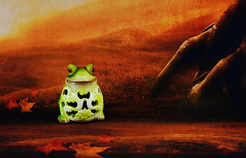 frog, ceramic, decoration, green, figure, funny, cute, forest, animal representation, representation, no people, animal, animal themes, toy, creativity, art and craft, mammal, one animal, amphibian, nature, orange color, green color, outdoors, close-up, animal wildlife, vertebrate, day, 5K, CC0, public domain, royalty free