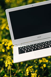 mobile, phone, spring rapes field, Laptop computer, mobile phone, spring, rapes, field, summer, flowers, tech, computer, technology, laptop, smartphone, rapeseed, white laptop, nature, outdoors, wireless Technology, internet, pC, no People, green Color, computer Monitor, business, communication, flower, computer Keyboard, grass, yellow, blank, business travel, backgrounds, connection, plant, flowering plant, focus on foreground, photography themes, close-up, screen, day, portability, 4K