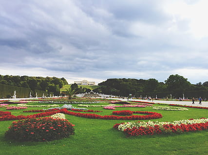 blomster, grøn, græsfelt, parkere, rød, hvid, blomstrede blomster, have, blomst, træ, Sky, palæ, græs, landskab, gå, monument, byhave, natur, slot, austrium, plante, sky - himmel, himmel, skønhed i naturen, blomstrende plante, vækst, park - mand skabt plads, formelle have, tilfældige mennesker, scenics - natur, dag, miljø, blomsterseng, udendørs, prydhave, hæk, 2K, CC0, offentligt domæne, royaltyfrie