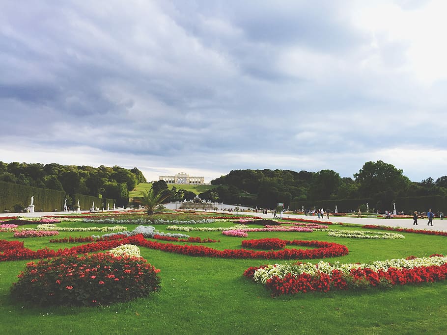 flors, verd, camp de gespa, parc, vermell, blanc, flors de pètals, jardí, flor, arbre, núvol, mansió, herba, paisatge, caminar, monument, jardí de la ciutat, naturalesa, castell, austrium, planta, núvol - cel, cel, bellesa a la natura, planta amb flors, creixement, parc - l'home va fer espai, jardí formal, persones incidentals, escenics - natura, dia, medi ambient, llit de flors, a l'aire lliure, jardí ornamental, cobertura, 2K