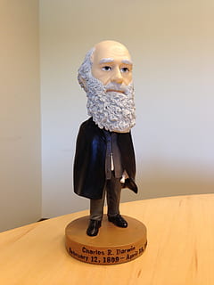évolution, charles robert darwin, scientifique, tête branlante, sculpture, statue, historique, à l'intérieur, représentation, représentation humaine, jouet, table, figurine, nature morte, personne, construction de murs, ressemblance masculine, art et Artisanat, la créativité, bois - matériau, ressemblance féminine, permanent, fermer, intérieur de la maison, gouvernement, 2K, CC0, domaine public, libre de droits