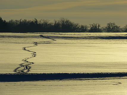 winterlich, Winter, Schnee, Gegenlicht, Spuren, Schneespur, Baum, Himmel, ruhige Szene, Ruhe, Schönheit in der Natur, Szenen - Natur, Natur, Pflanze, Landschaft, Wasser, Land, Nicht-städtische Szene, keine Leute, Umgebung, Tag, wolke - himmel, Feld, draußen, Sonnenuntergang, 4K, CC0, gemeinfrei, lizenzfrei