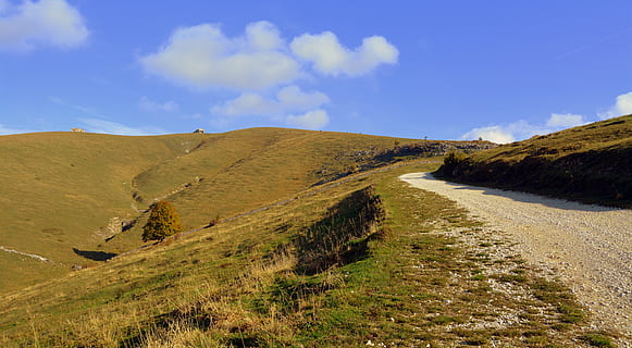 escursione, alberi, autunno, pista, montagna, il percorso europeo, e5, Lessinia, Italia, cielo, scenics - natura, paesaggio, scena non urbana, ambiente, bellezza nella natura, scena tranquilla, la tranquillità, natura, nuvola - cielo, terra, nessuno, giorno, erba, pianta, a distanza, blu, idilliaco, strada, all'aperto, semi arido, 5K, CC0, dominio pubblico, privo di copyright