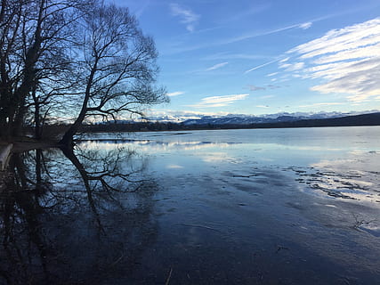 greifensee, led, zimní, odraz, holý strom, voda, nebe, Příroda, jezero, klid, klidné scény, krása v přírodě, strom, scenics - příroda, mrak - nebe, nikdo, rostlina, mimoměstské scény, nábřeží, idylický, den, modrý, venku, odraz jezero, 2K, CC0, veřejná doména, bez autorských práv