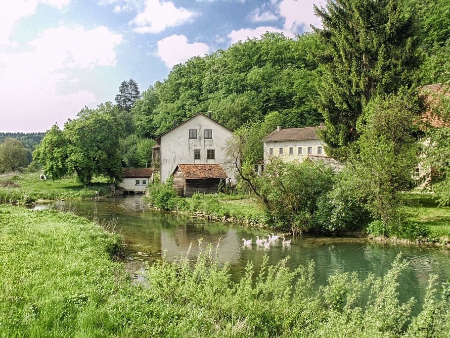 grå, betong, hus, vann, bavaria, Tyskland, himmel, skyer, landskap, scenisk, skog, trær, skogen, felt, planter, sommer, vår, gjess, strøm, refleksjoner, arkitektur, hdr, natur, utenfor, land, landsbygda, anlegg, tre, bygget struktur, bygning, grønn farge, refleksjon, innsjø, vekst, sky - himmel, bygge eksteriør, ingen folk, ro, dag, skjønnhet i naturen, utendørs, 1080P