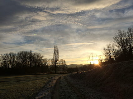 paisagem de nuvens, árvore, panorama, leve, sol do céu, pradaria, natureza, céu, nuvem - céu, plantar, por do sol, meio Ambiente, tranquilidade, scenics - natureza, cena tranquila, ninguém, beleza na natureza, terra, estrada, árvore nua, campo, o caminho a seguir, direção, cena não urbana, ao ar livre, 2K, CC0, domínio público, royalty free