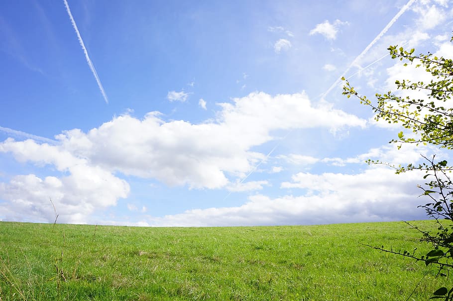 cielo, nuvole, blu, estate, bel tempo, azzurro, nuvola - cielo, bellezza nella natura, erba, campo, ambiente, terra, natura, paesaggio, pianta, la tranquillità, colore verde, crescita, scena tranquilla, scenics - natura, giorno, idilliaco, nessuno, luce del sole, all'aperto, primavera, luminosa, 2K