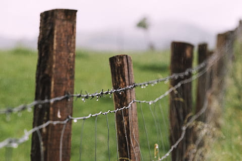 mělký, zaostřovací fotografie, barb wire, alambre, plot, pole, ostnatý drát, hranice, Příroda, dřevo - materiál, venku, nikdo, venkovské scény, tráva, dřevěný sloupek, ochrana, bezpečnost, bezpečnostní, žiletkový drát, bariéra, zaměřit se na popředí, drát, detail, kov, den, krajina, ostrý, rostlina, 4K, CC0, veřejná doména, bez autorských práv