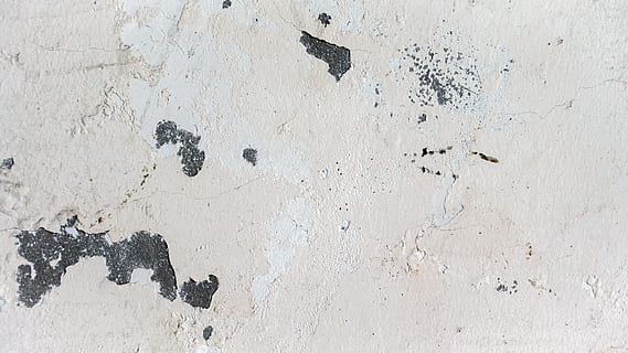 surface de béton blanche, blanc, béton, surface, Contexte, texture, mur, couche, conception, grunge, peindre, journée, plein cadre, en plein air, personne, fermer, construction de murs, structure construite, texturé, architecture, altéré, vieux, arrière-plans, rugueux, couleur blanche, décollement, endommagé, la créativité, modèle, art et Artisanat, détérioration, 5K, CC0, domaine public, libre de droits