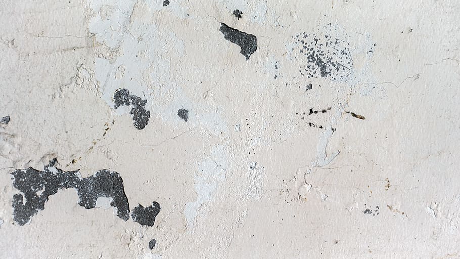 superfície de formigó blanc, blanc, concret, superfície, fons, textura, paret, capa, disseny, grunge, pintura, dia, marc complet, a l'aire lliure, cap gent, primer pla, funció de construcció de parets, estructura construïda, arquitectura, resistent, vell, aspre, Color blanc, descamació, espatllat, creativitat, patró, art i artesania, deteriorament, 5K