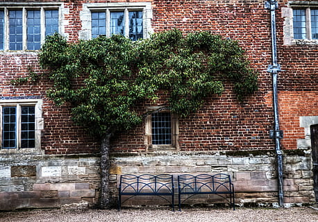 muratura, costruzione, architettura, facciata, Casa, esterno, natura, verde, vecchio, finestra, esterno dell'edificio, muro di mattoni, struttura costruita, mattone, all'aperto, parete, pianta, giorno, crescita, nessuno, caratteristica della parete, quartiere residenziale, città, albero, edera, 4K, CC0, dominio pubblico, privo di copyright
