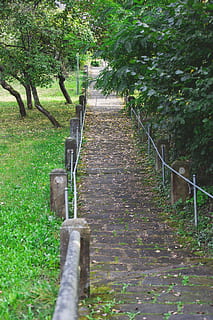 natur, Skov, træer, græs, dagslys, miljø, idyllisk, blade, parkere, pathway, planter, landskab, naturskøn, rolig, plante, vejen frem, træ, retning, vækst, ingen mennesker, dag, jord, sti, ro, grøn farve, rækværk, udendørs, tom, skønhed i naturen, rolig scene, trappe, lang, 5K, CC0, offentligt domæne, royaltyfrie