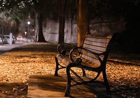 Marrone, nero, panchina, prese, accanto, albero, buio, notte, autunno, all'aperto, natura, parco - spazio creato dall'uomo, foglia, posto a sedere, assenza, nessuno, vuoto, mezzi di trasporto, concentrarsi sulle conoscenze acquisite, tavolo, pianta, legno - materiale, modo di trasporto, ombra, veicolo terrestre, parco, panchina del parco, 5K, CC0, dominio pubblico, privo di copyright