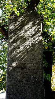 Cuneiform, Script, Ancient, Archeology, cuneiform, script, asia, column, inscription, urartu, king, rusa, commemoration, zvartnots, armenia, text, cemetery, tombstone, memorial, communication, day, tree, plant, no people, tree trunk, trunk, nature, western script, architecture, the past, history, grave, outdoors, growth, stone, craft, 5K, CC0, public domain, royalty free