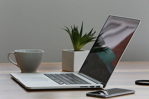 ouvert, macbook d'argent, pro, à côté de, agresser, portable, ordinateur, vert, feuille, mis en pot, plante, macbook, La technologie, iphone, mobile, tasse, Bureau, affaires, Technologie sans fil, l'Internet, clavier d'ordinateur, à l'intérieur, prise de vue en studio, utilisant un ordinateur portable, table, la communication, lien, Nourriture et boisson, personne, boisson, meubles, plante en pot, stylo, rafraîchissement, clavier, 4K, CC0, domaine public, libre de droits