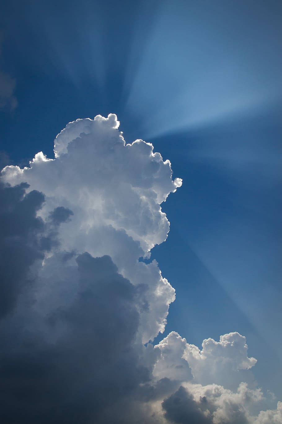 hvid, skyer, dækker, sol, himmel, Sky, solskin, lysstråle, sollys, sky - himmel, skønhed i naturen, ro, lav vinkel visning, rolig scene, natur, ingen mennesker, scenics - natur, idyllisk, blå, dag, udendørs, cloudscape, hvid farve, baggrunde, solstråle, meteorologi, 5K